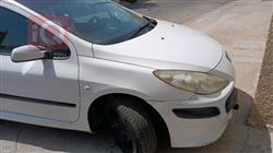 بیجۆ 307